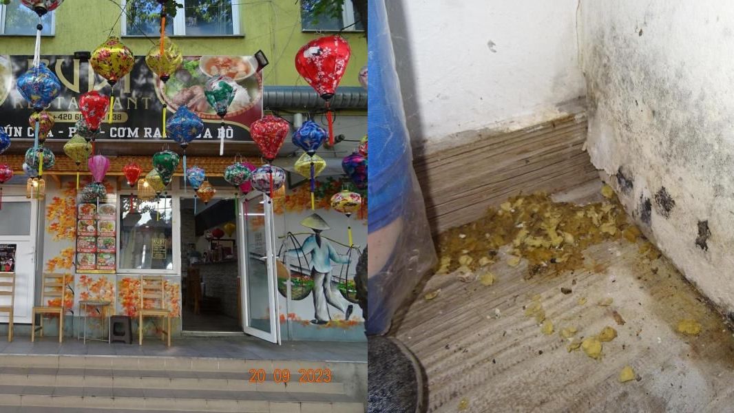 Plísně i myší trus. Inspekce zavřela čtyři restaurace v pražské tržnici Sapa